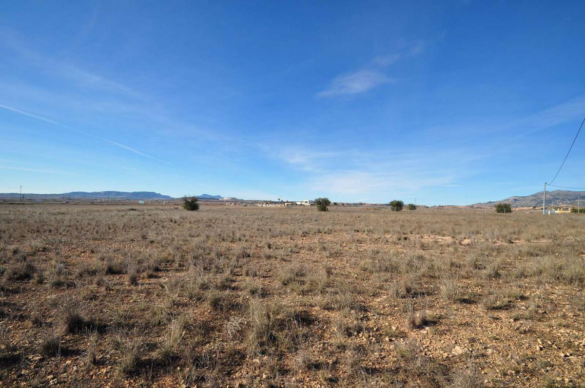 Se vende Terreno Rustico  en Costa Blanca, Alicante, España