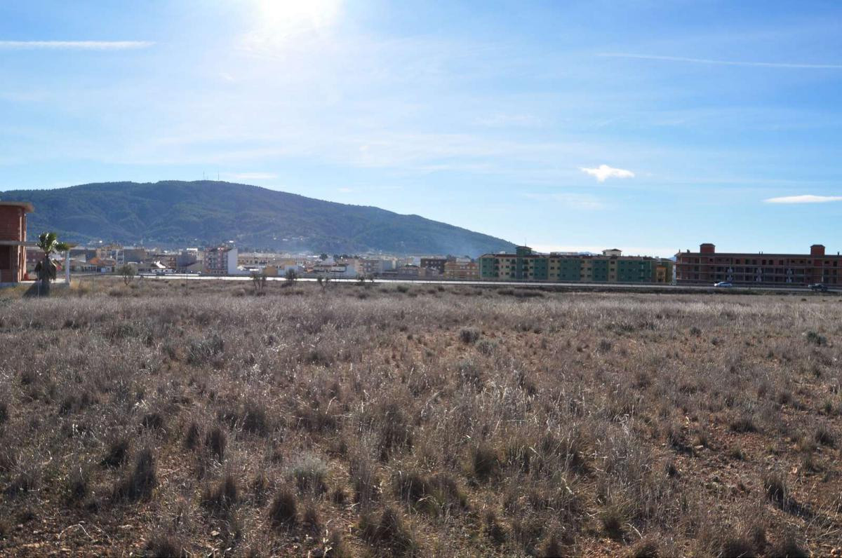 Se vende Terreno Rustico  en Costa Blanca, Alicante, España