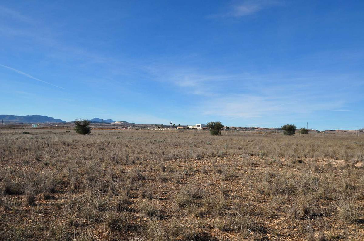 Se vende Terreno Rustico  en Costa Blanca, Alicante, España