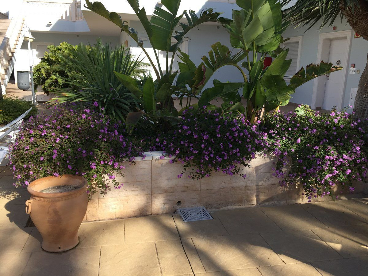 Se vende Apartamento Planta Media de 2 dormitorios en Costa Blanca, Alicante, España