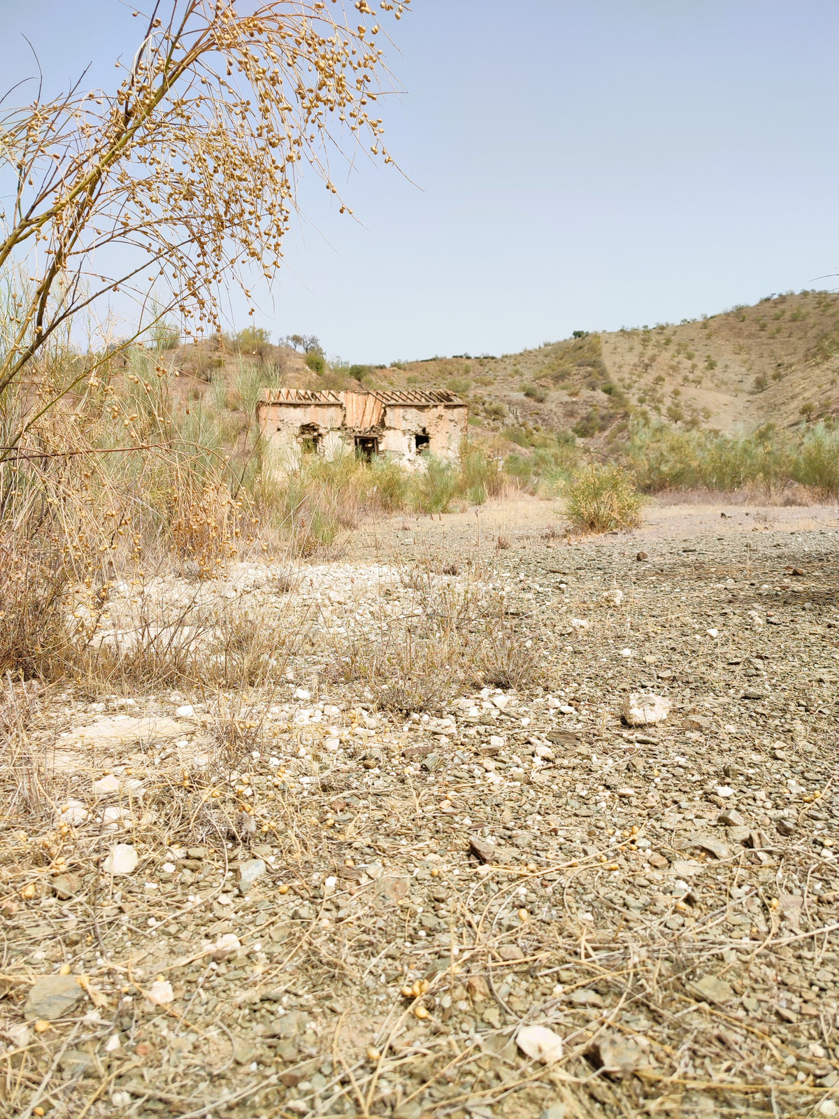 Se vende Terreno Rustico  en Costa Del Sol, Málaga, España