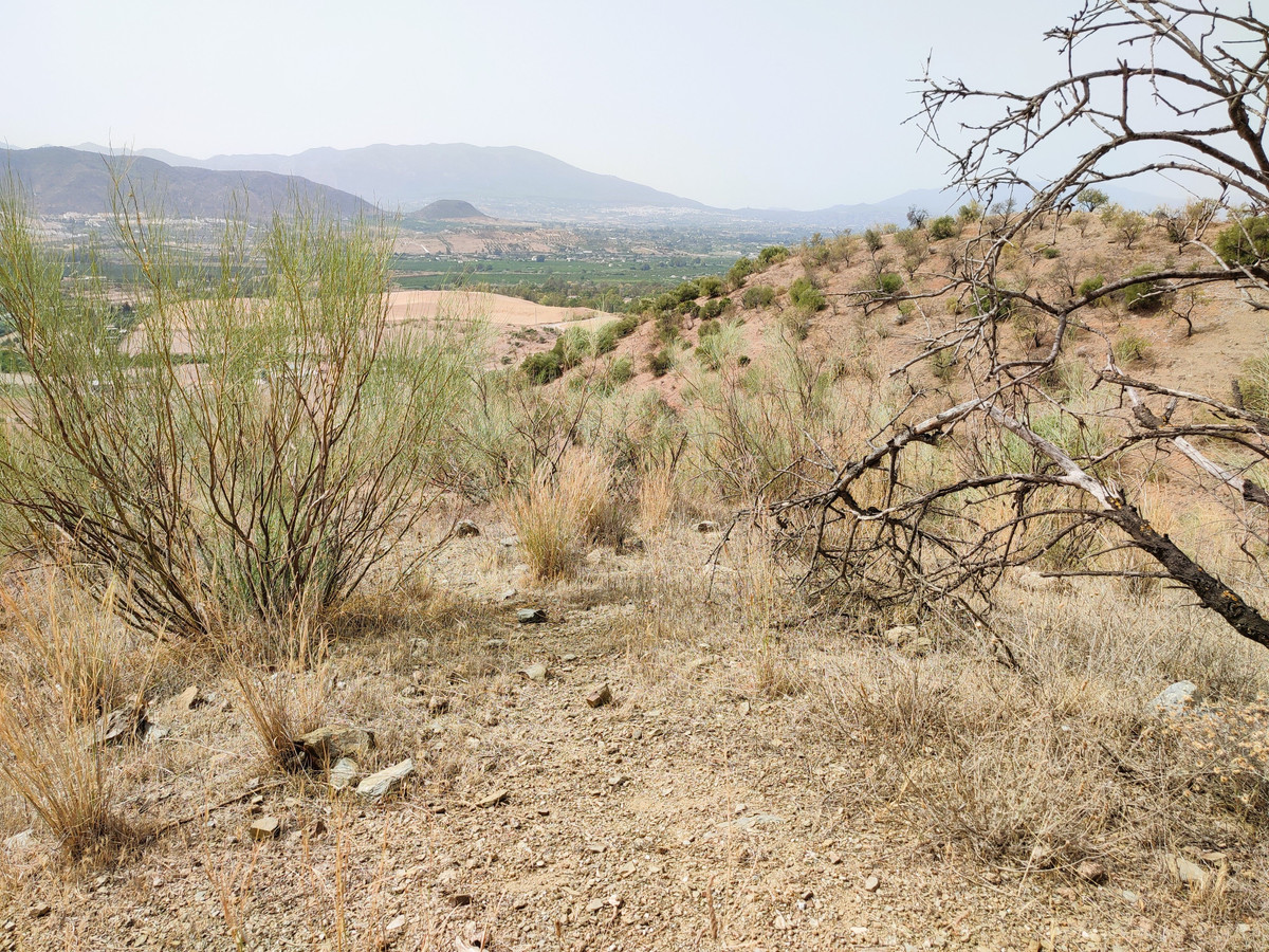 Se vende Terreno Rustico  en Costa Del Sol, Málaga, España