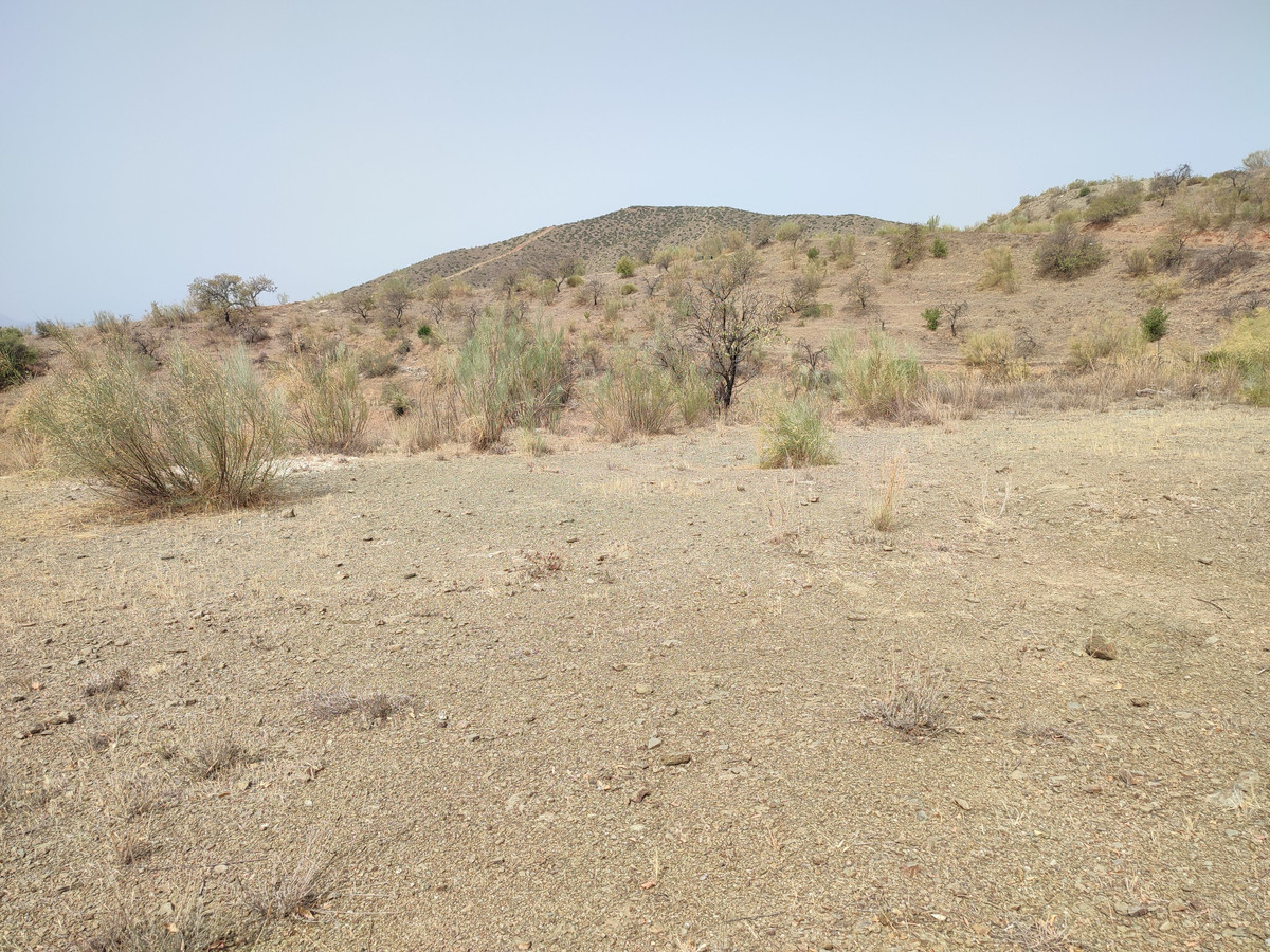 Se vende Terreno Rustico  en Costa Del Sol, Málaga, España
