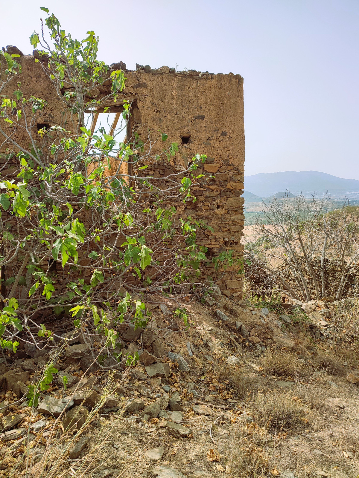 Se vende Terreno Rustico  en Costa Del Sol, Málaga, España