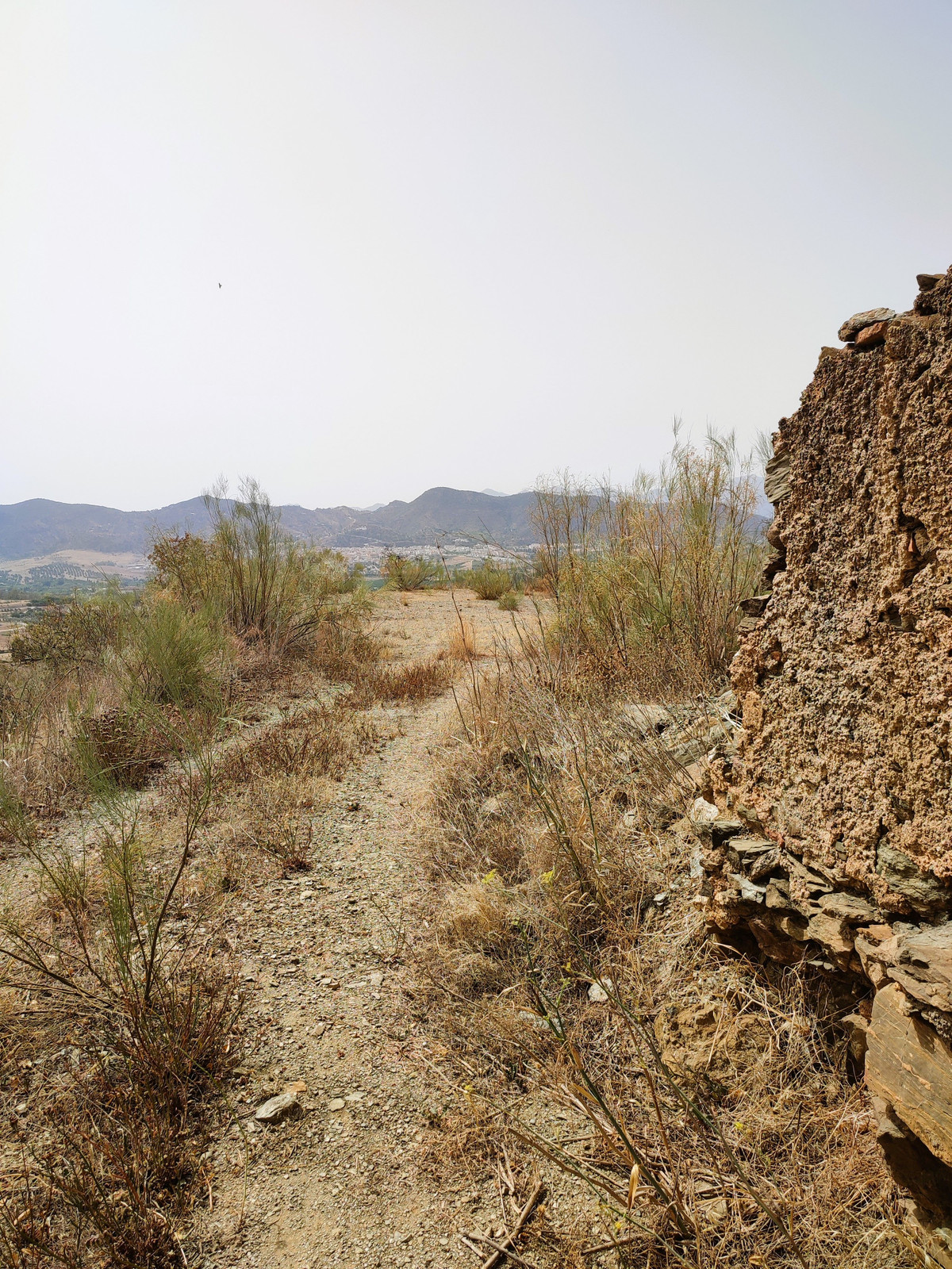 Se vende Terreno Rustico  en Costa Del Sol, Málaga, España