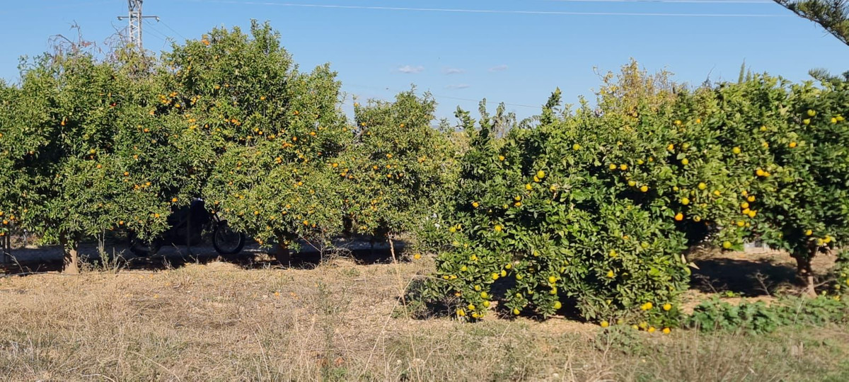 Se vende Finca - Cortijo de 3 dormitorios en Costa Del Sol, Málaga, España