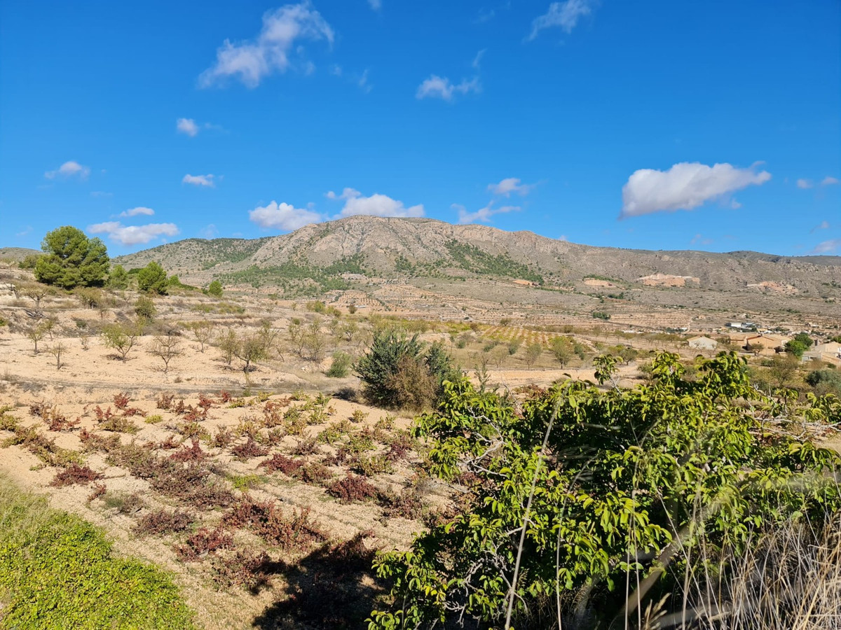Se vende Terreno Rustico  en Costa Blanca, Alicante, España