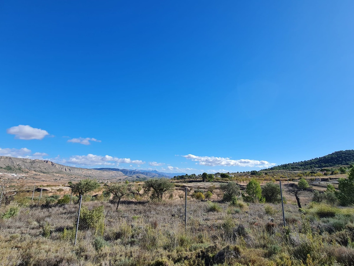 Se vende Terreno Rustico  en Costa Blanca, Alicante, España