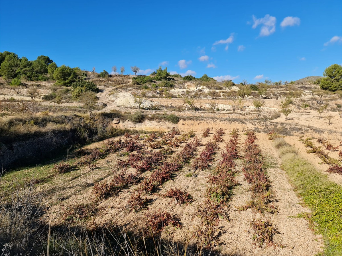 Se vende Terreno Rustico  en Costa Blanca, Alicante, España