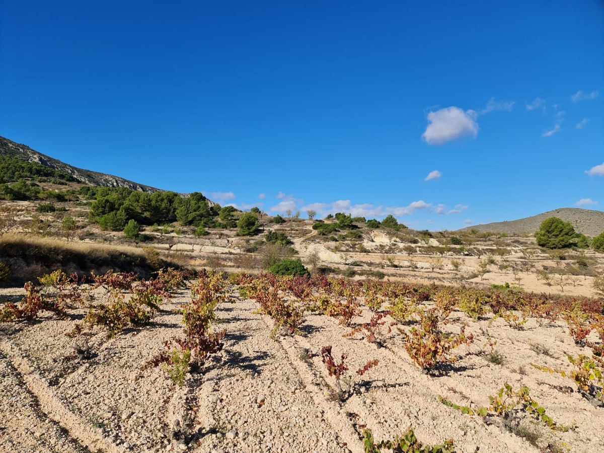 Se vende Terreno Rustico  en Costa Blanca, Alicante, España
