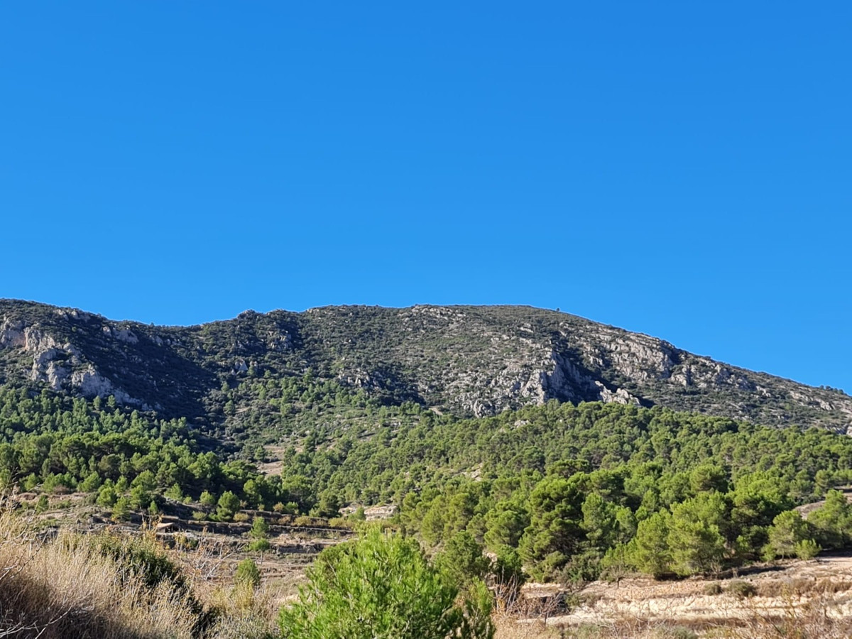 Se vende Terreno Rustico  en Costa Blanca, Alicante, España