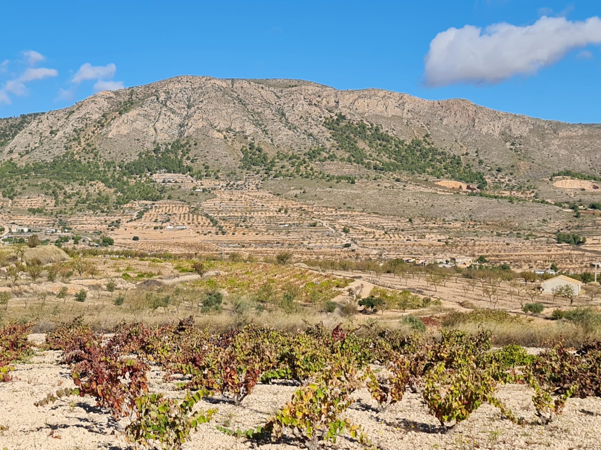 Se vende Terreno Rustico  en Costa Blanca, Alicante, España