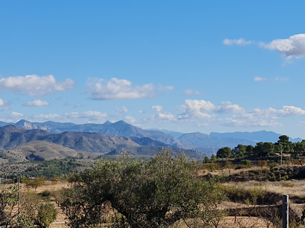 Se vende Terreno Rustico  en Costa Blanca, Alicante, España