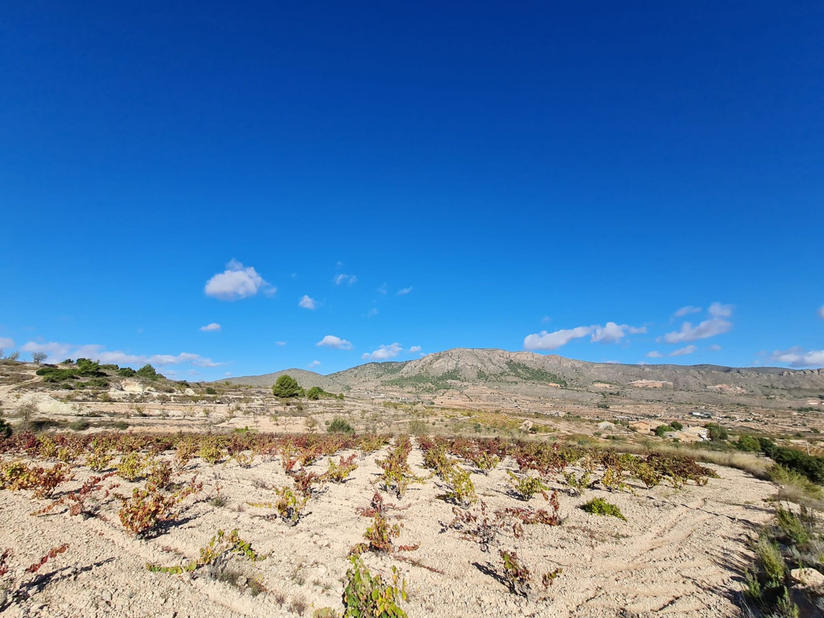 Se vende Terreno Rustico  en Costa Blanca, Alicante, España