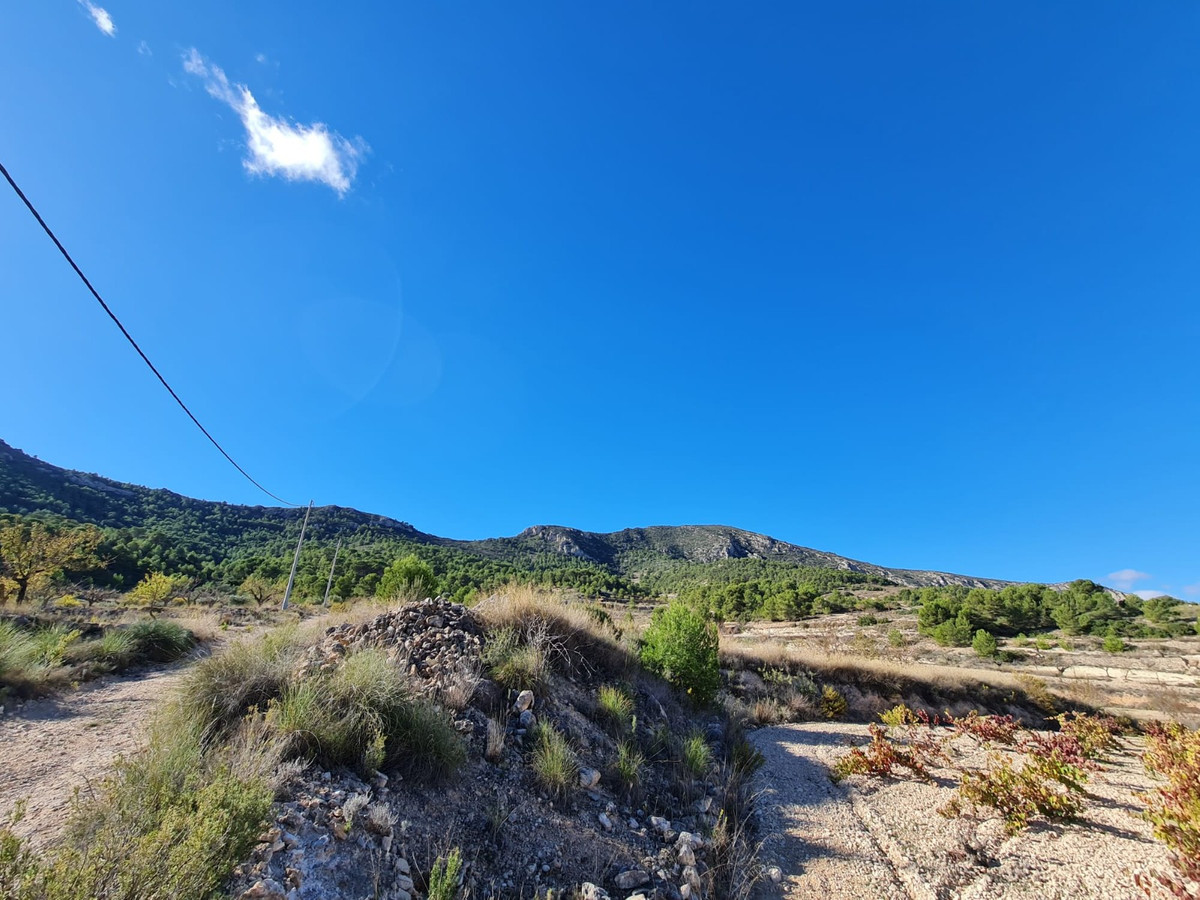 Se vende Terreno Rustico  en Costa Blanca, Alicante, España