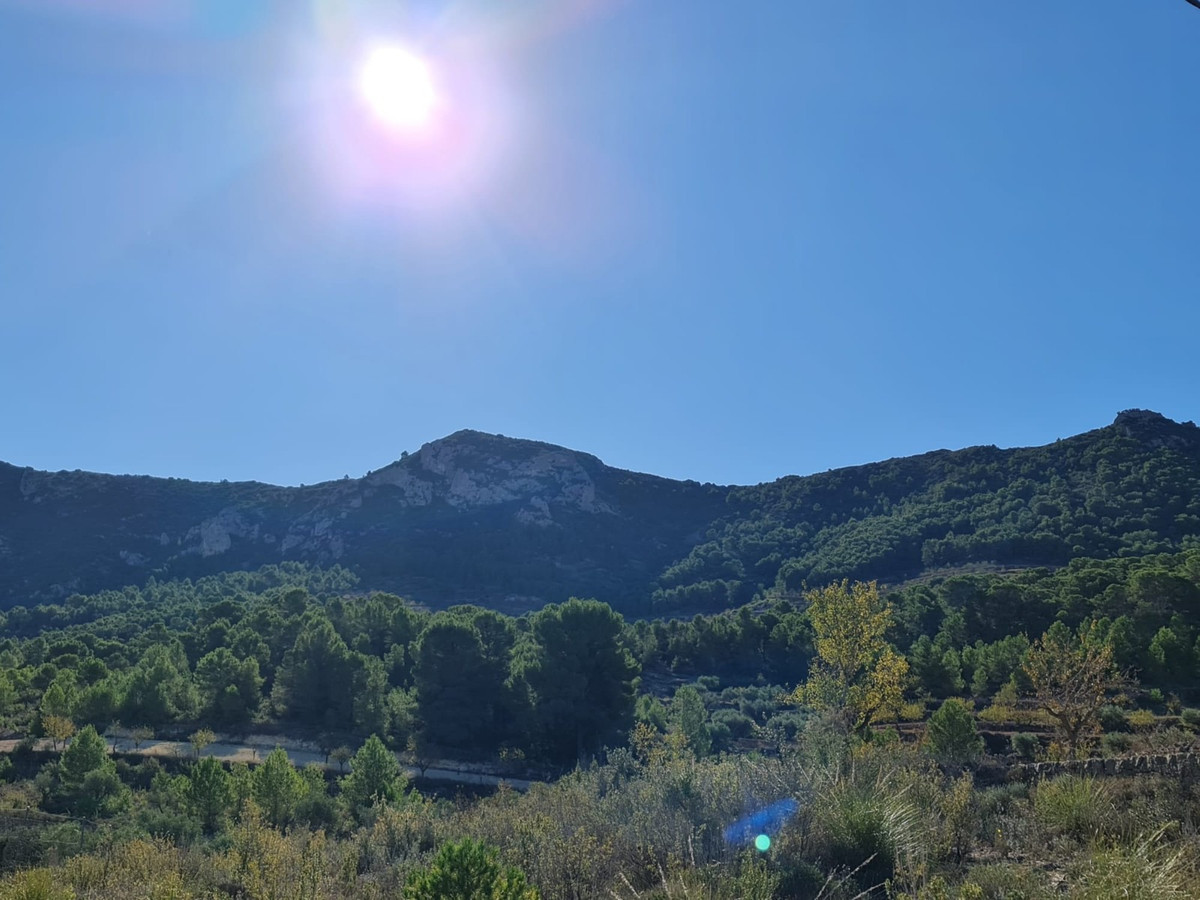 Se vende Terreno Rustico  en Costa Blanca, Alicante, España
