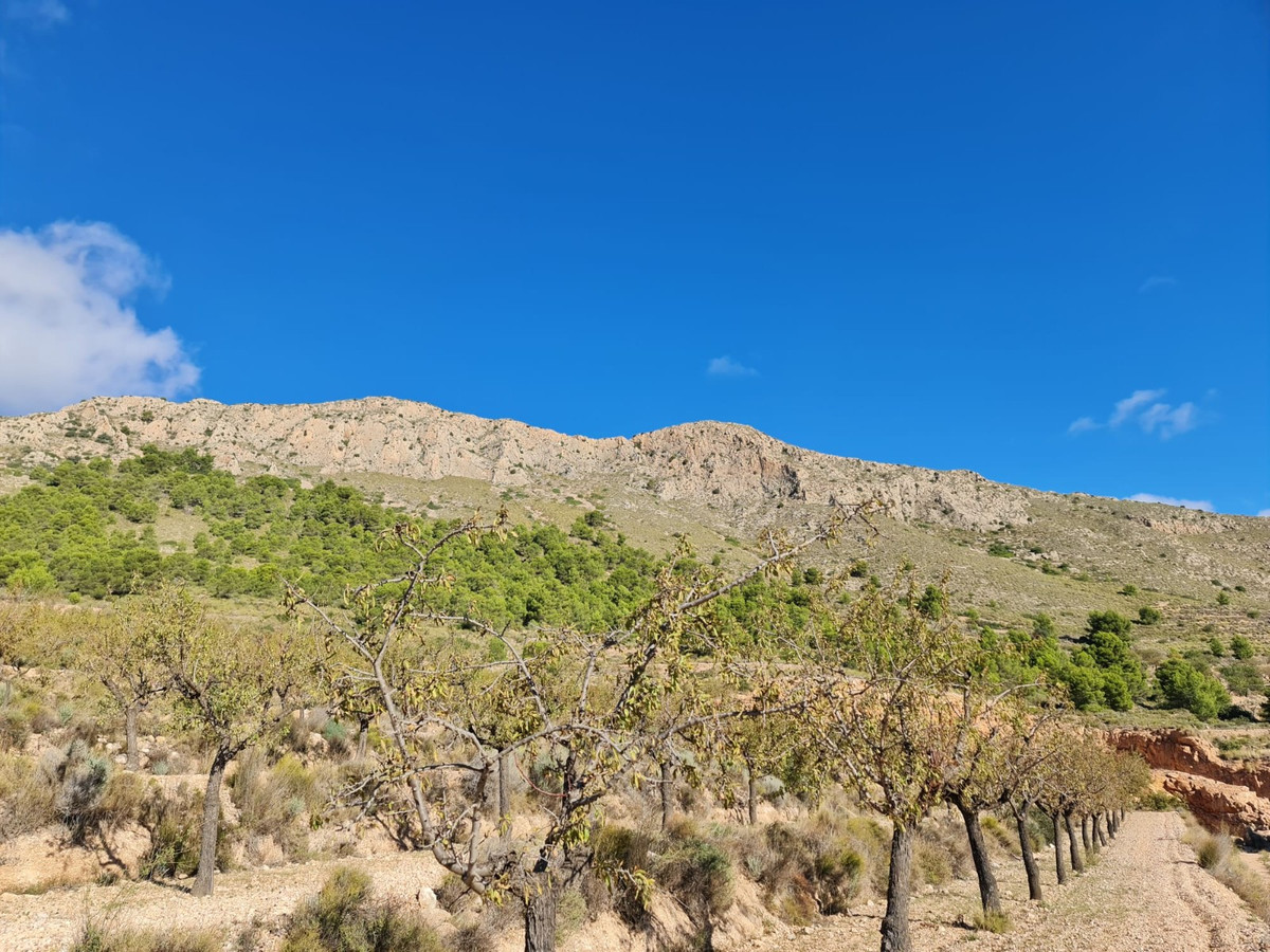 Se vende Terreno Rustico  en Costa Blanca, Alicante, España