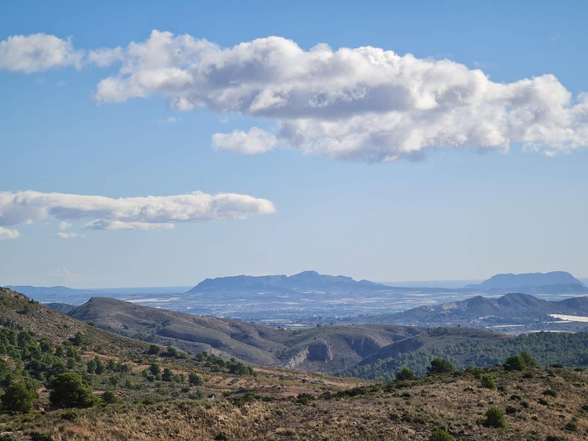 Se vende Terreno Rustico  en Costa Blanca, Alicante, España