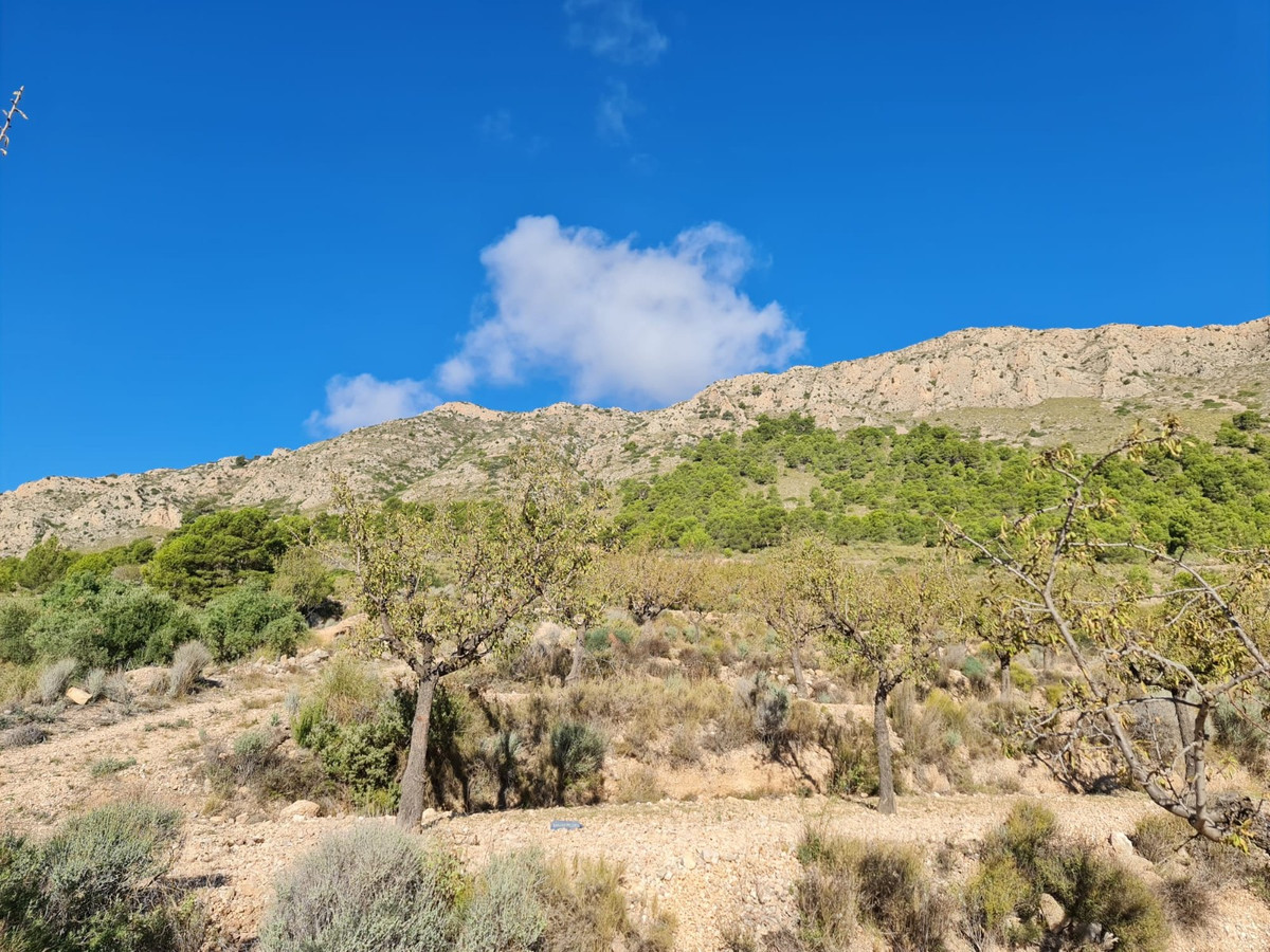 Se vende Terreno Rustico  en Costa Blanca, Alicante, España