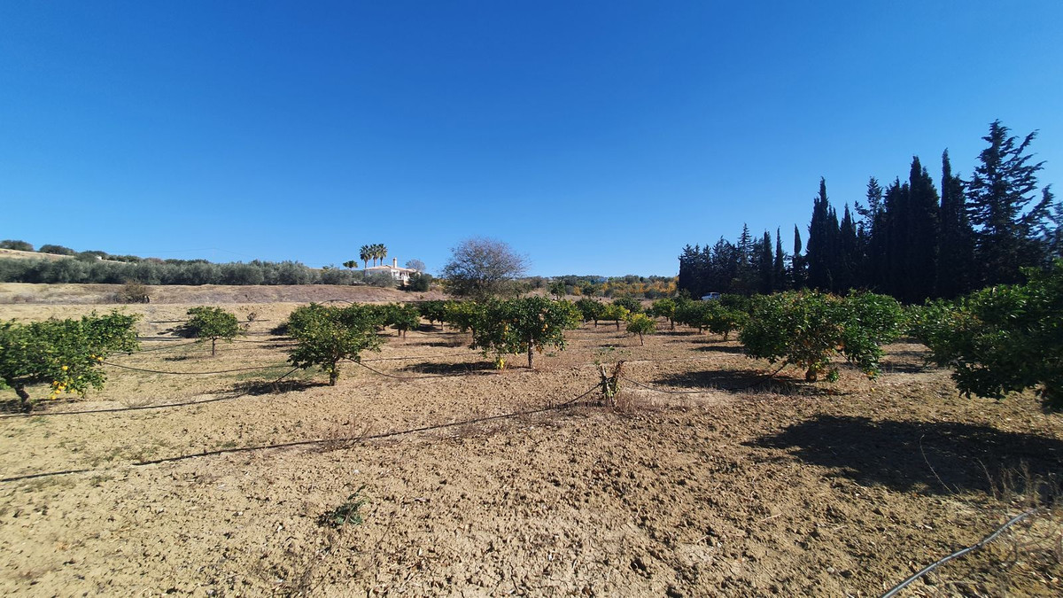 Plots for sale in Alhaurín El Grande Costa Del Sol, Málaga, Spain