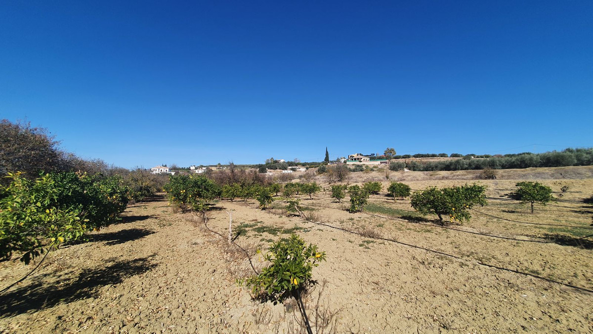 Plots for sale in Alhaurín El Grande Costa Del Sol, Málaga, Spain