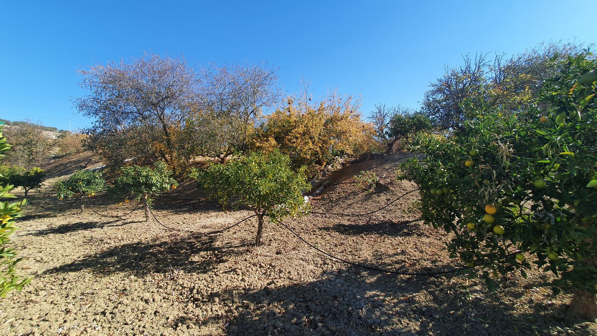Plots for sale in Alhaurín El Grande Costa Del Sol, Málaga, Spain
