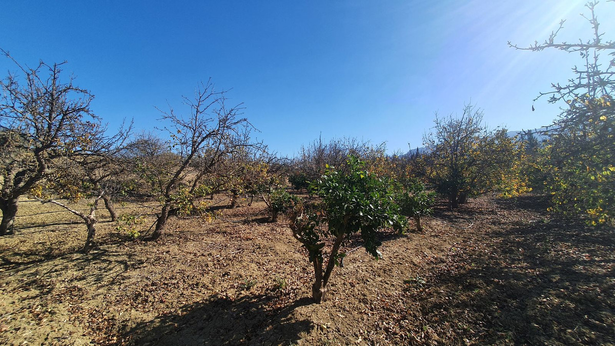 Plots for sale in Alhaurín El Grande Costa Del Sol, Málaga, Spain