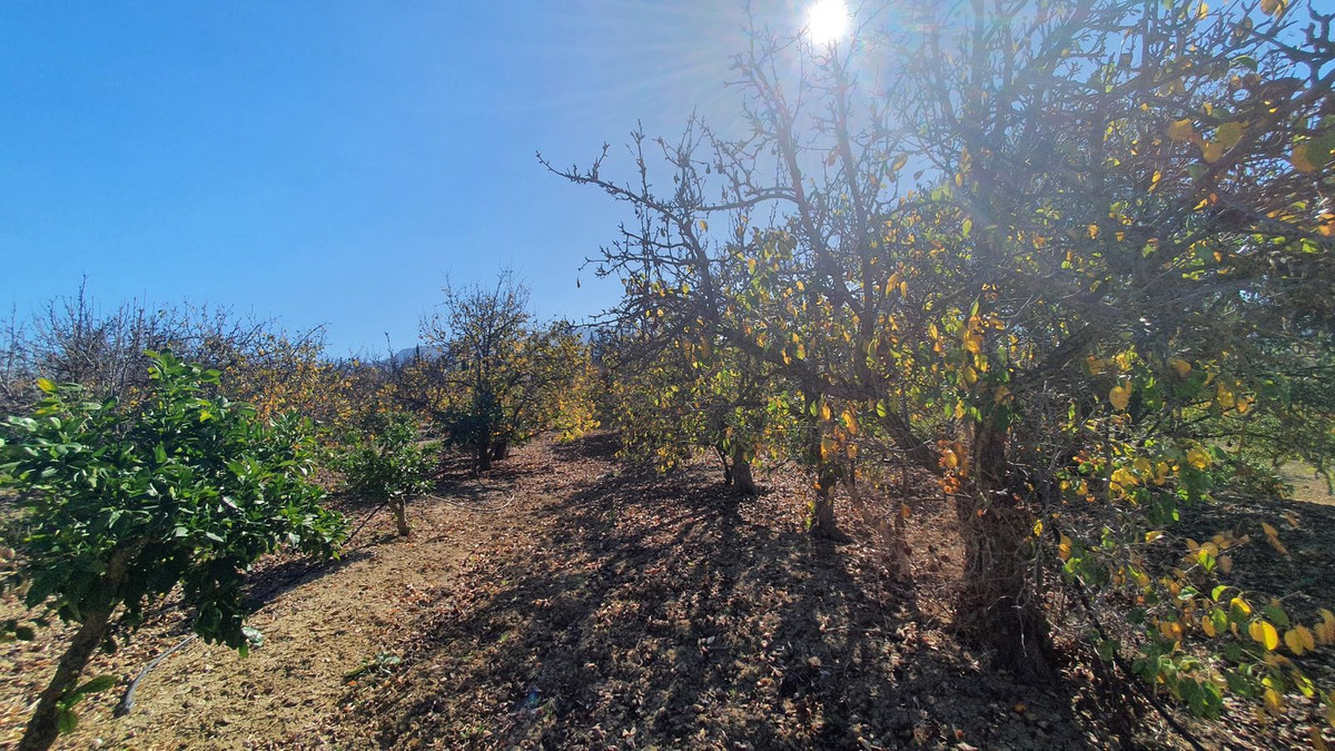 Plots for sale in Alhaurín El Grande Costa Del Sol, Málaga, Spain