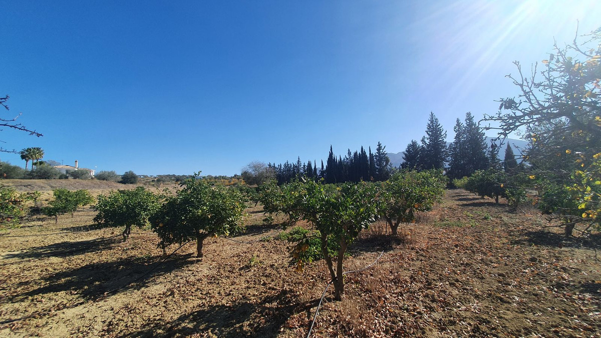 Plots for sale in Alhaurín El Grande Costa Del Sol, Málaga, Spain