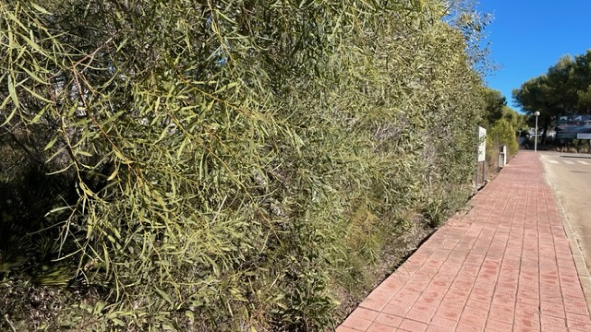 Se vende Terreno Rustico  en Costa Blanca, Alicante, España