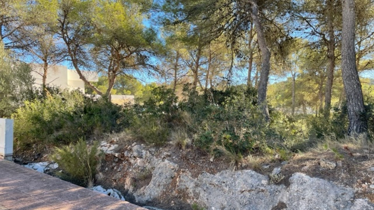 Se vende Terreno Rustico  en Costa Blanca, Alicante, España