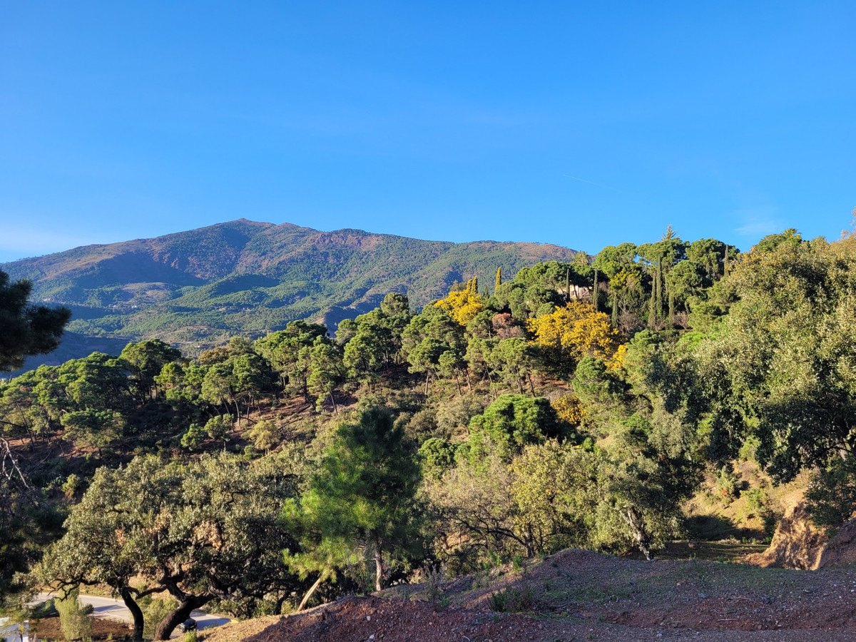 Se vende Terreno Rustico  en Costa Del Sol, Málaga, España