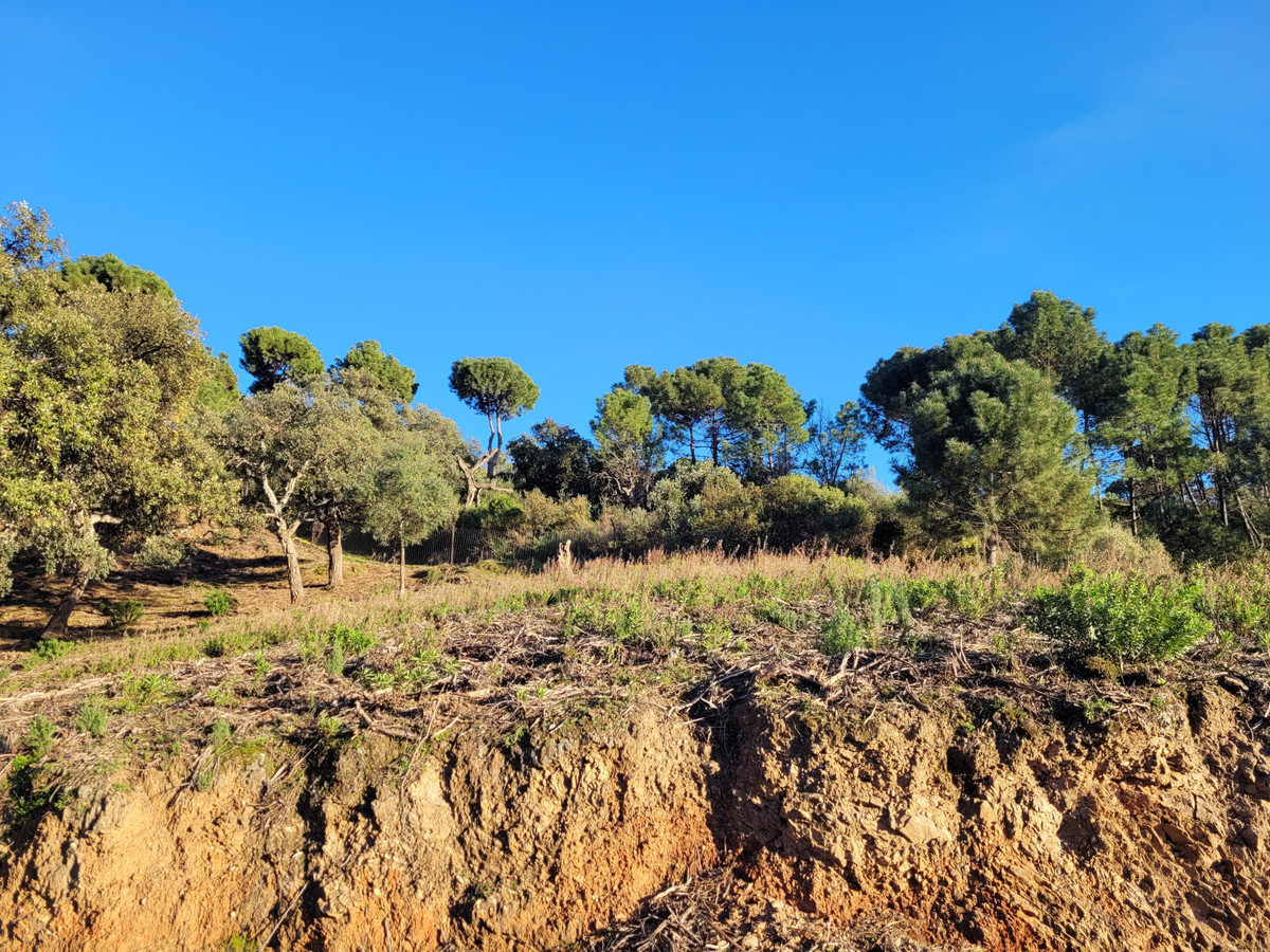 Se vende Terreno Rustico  en Costa Del Sol, Málaga, España