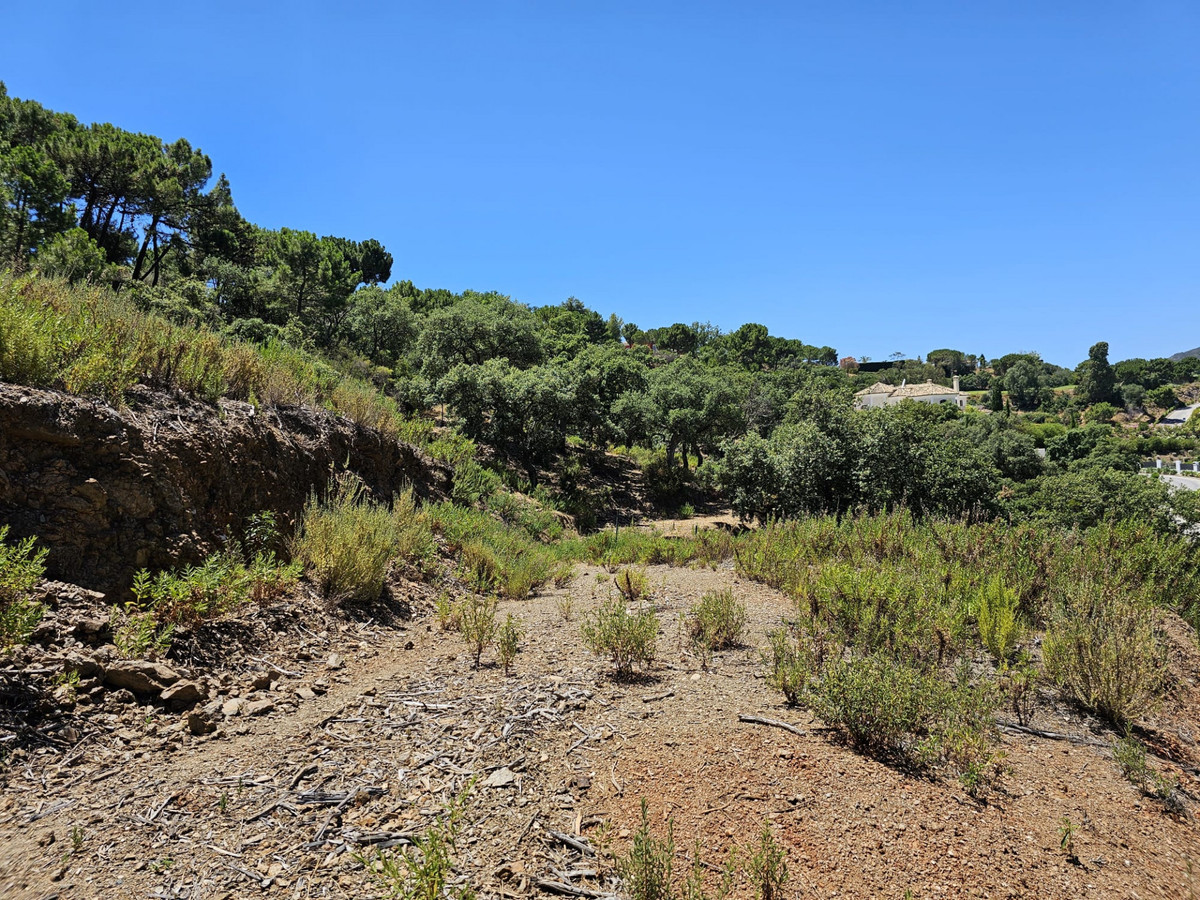 Se vende Terreno Rustico  en Costa Del Sol, Málaga, España