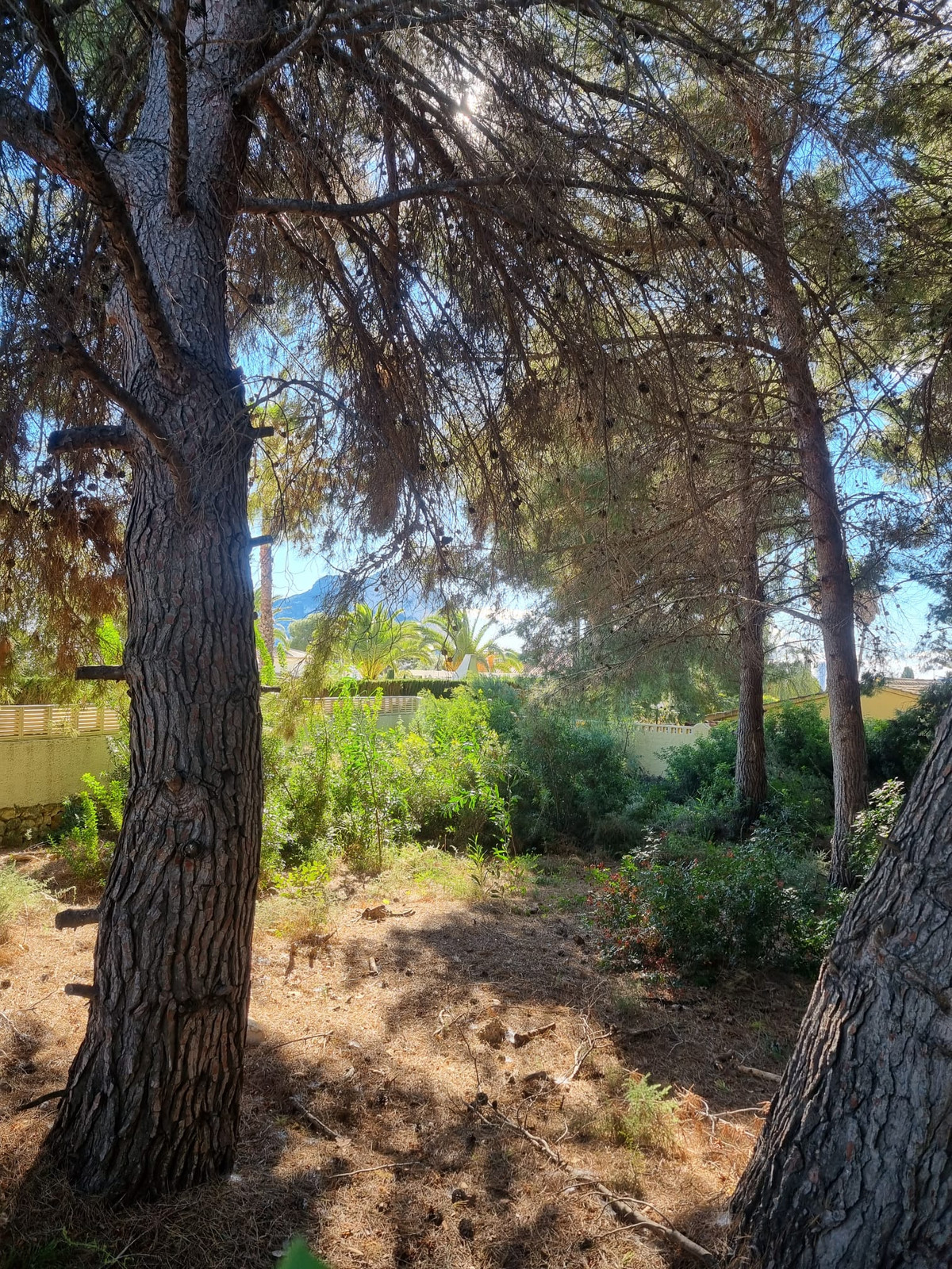 Plots for sale in Calpe Costa Blanca, Alicante, Spain