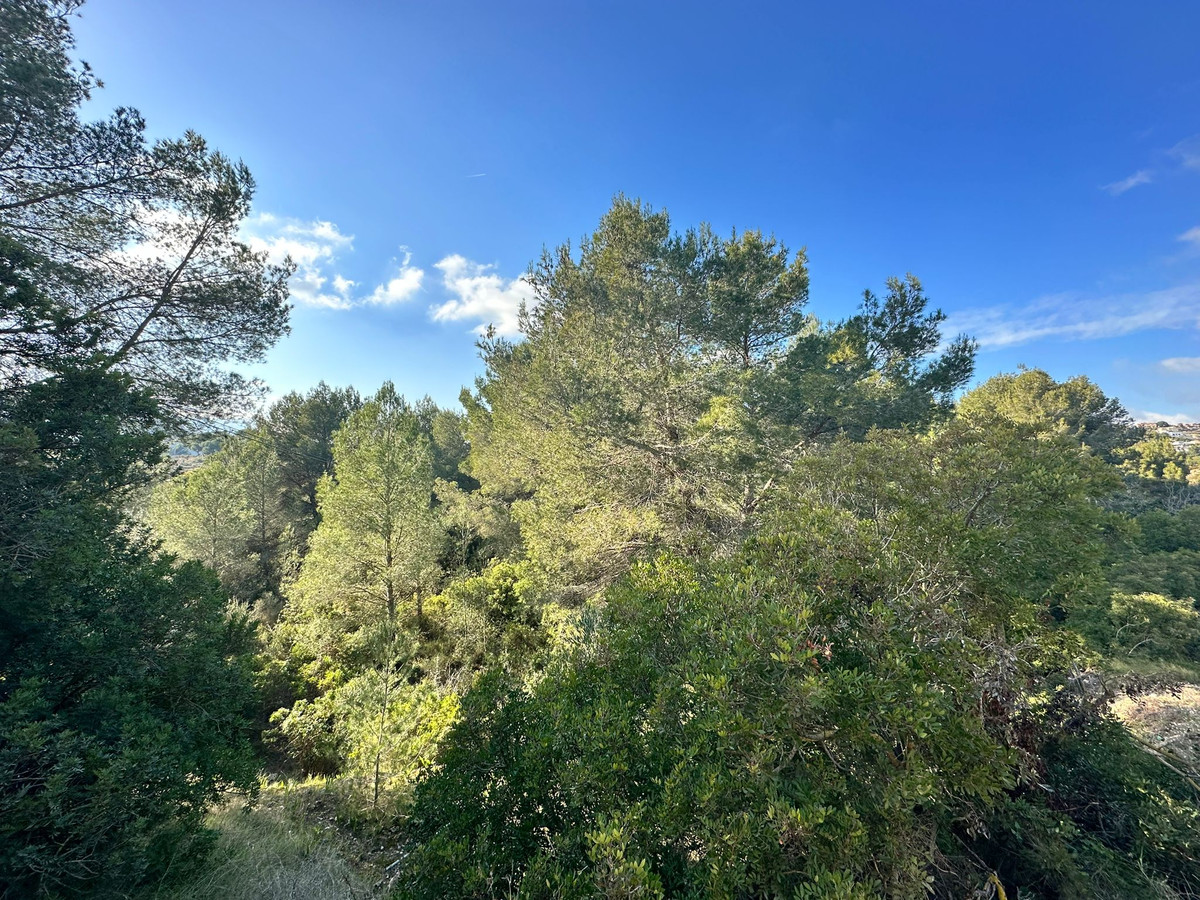 Se vende Terreno Rustico  en Costa Blanca, Alicante, España