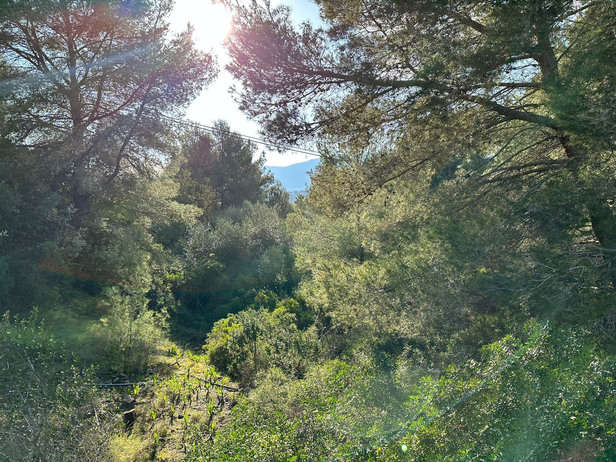 Se vende Terreno Rustico  en Costa Blanca, Alicante, España