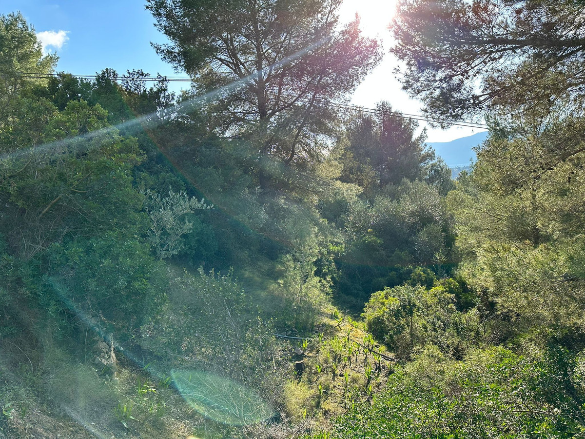 Se vende Terreno Rustico  en Costa Blanca, Alicante, España
