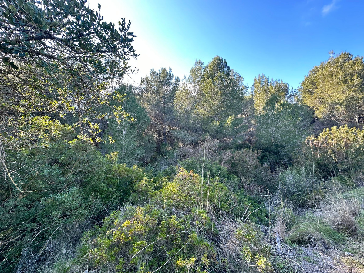 Se vende Terreno Rustico  en Costa Blanca, Alicante, España