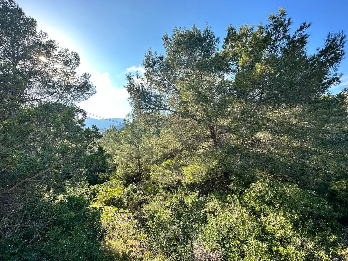 Se vende Terreno Rustico  en Costa Blanca, Alicante, España