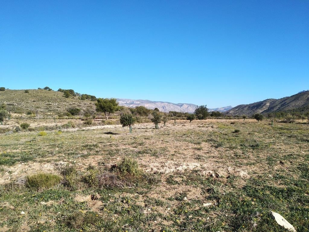 Se vende Terreno Urbano  en Costa Blanca, Alicante, España