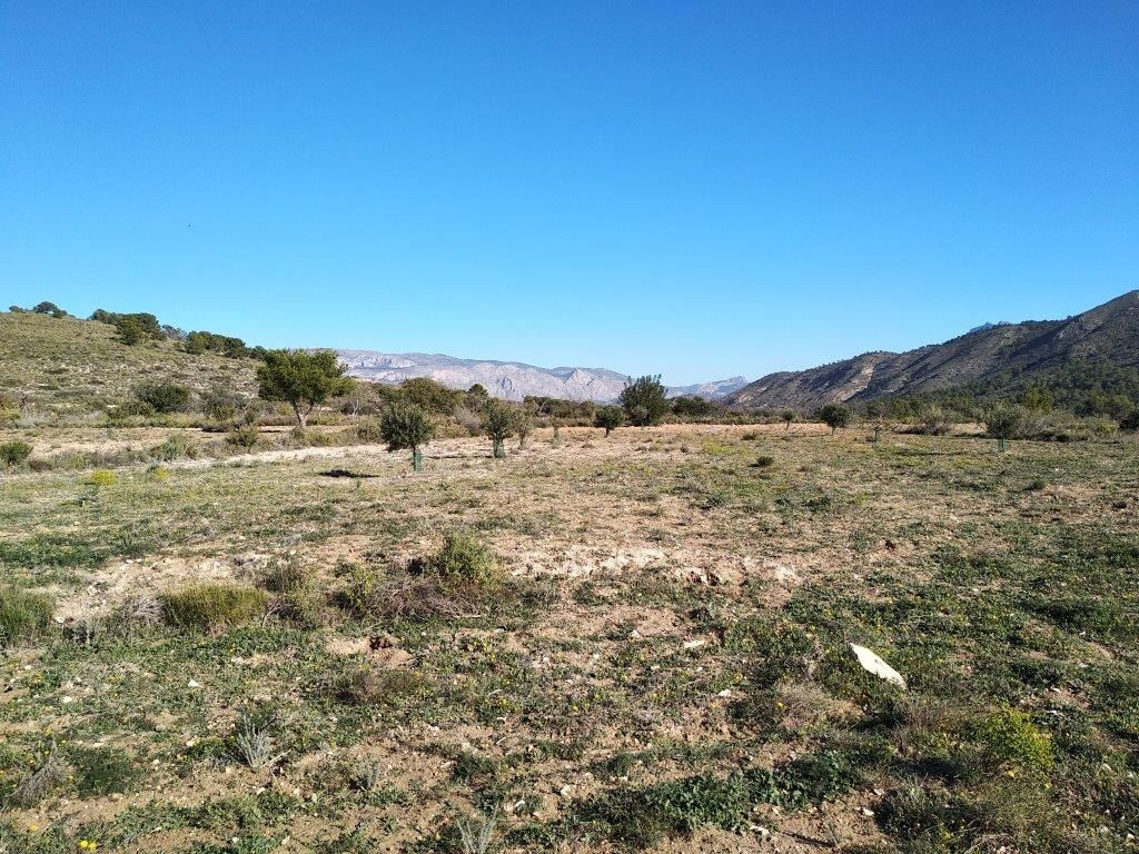 Se vende Terreno Urbano  en Costa Blanca, Alicante, España