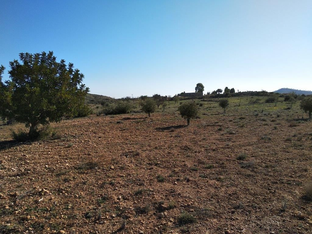 Se vende Terreno Urbano  en Costa Blanca, Alicante, España