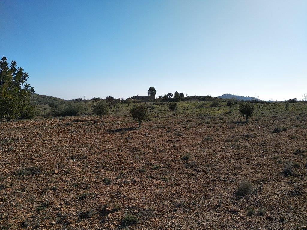Se vende Terreno Urbano  en Costa Blanca, Alicante, España