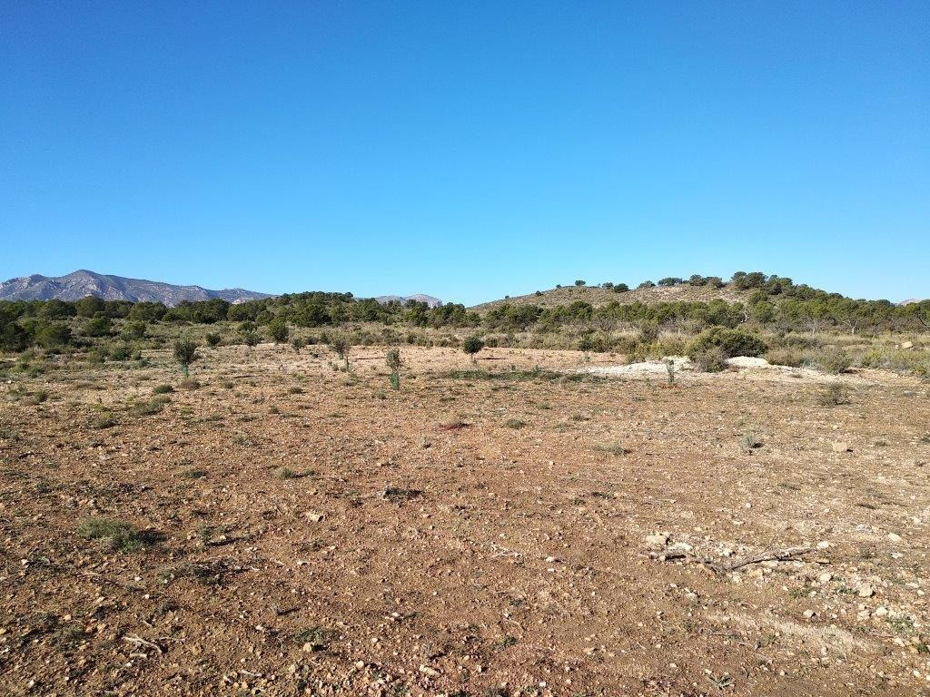 Se vende Terreno Urbano  en Costa Blanca, Alicante, España