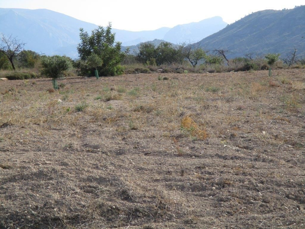 Se vende Terreno Urbano  en Costa Blanca, Alicante, España