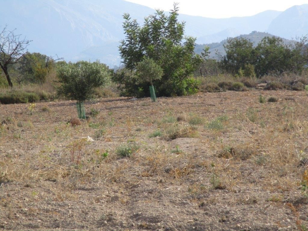 Se vende Terreno Urbano  en Costa Blanca, Alicante, España