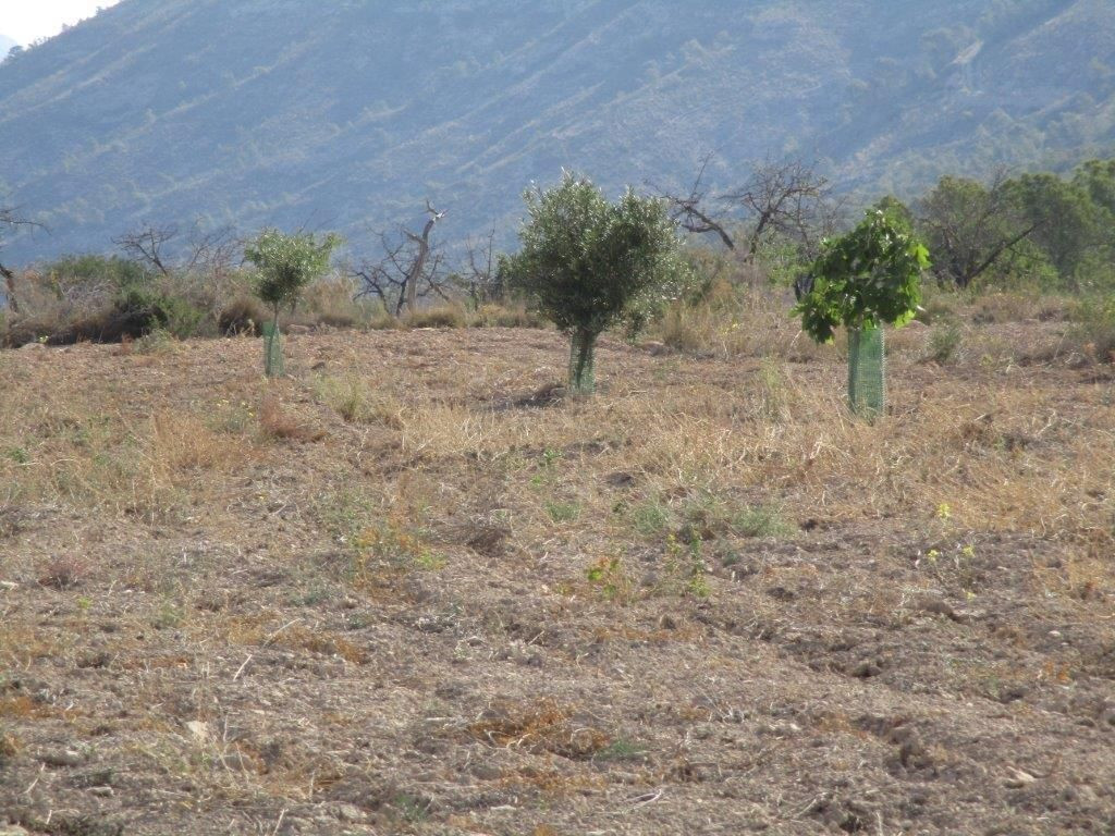 Se vende Terreno Urbano  en Costa Blanca, Alicante, España