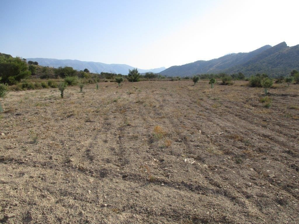 Se vende Terreno Urbano  en Costa Blanca, Alicante, España