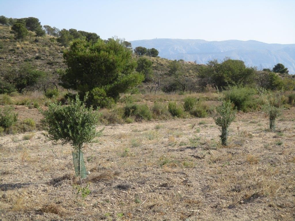 Se vende Terreno Urbano  en Costa Blanca, Alicante, España